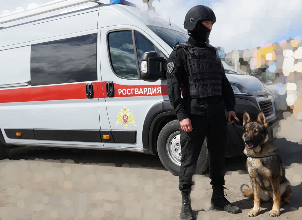 В День города Архангельска сотрудники и военнослужащие Росгвардии приняли участие в охране общественного порядка   